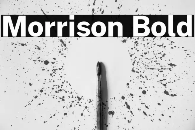 Morrison Bold Font examples