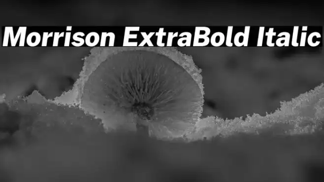 Morrison ExtraBold Italic Example 1