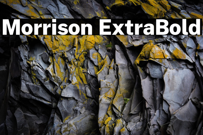 Morrison ExtraBold Example 1