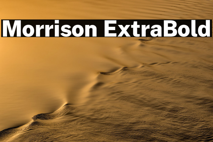 Morrison ExtraBold Example 2