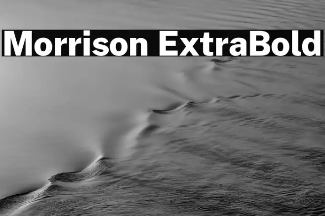 Morrison ExtraBold Example 2