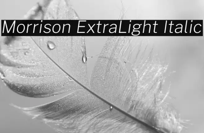 Morrison ExtraLight Italic Example 2