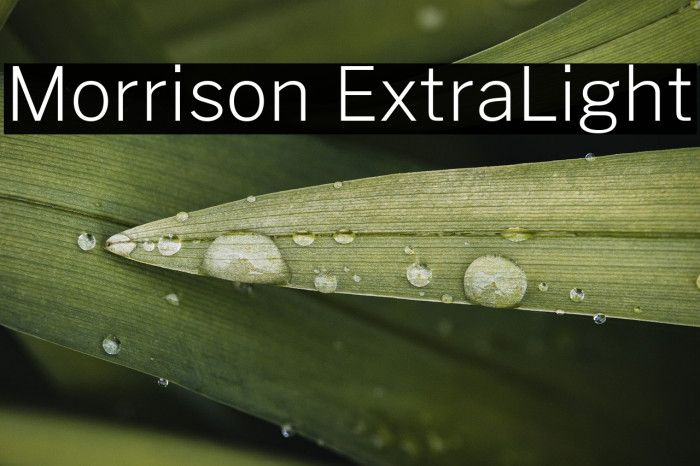 Morrison ExtraLight Example 1