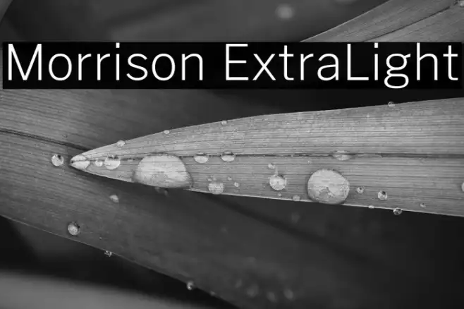 Morrison ExtraLight Example 1