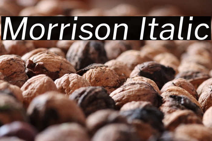 Morrison Italic Example 1