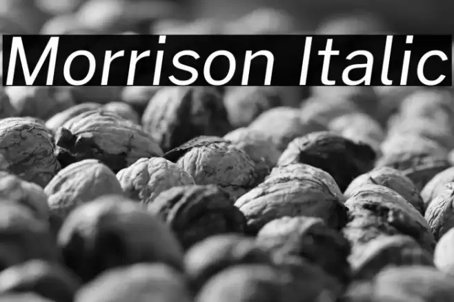 Morrison Italic Font examples