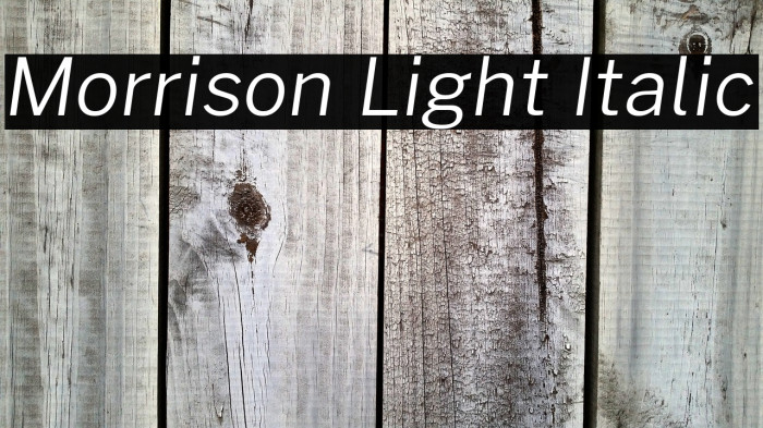 Morrison Light Italic Example 1