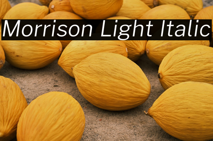 Morrison Light Italic Example 2