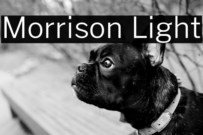 Morrison Light Example 2