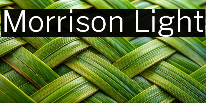 Morrison Light Example 3