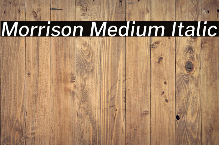 Morrison Medium Italic Example 1