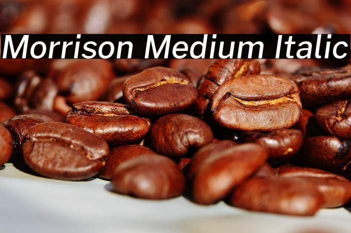 Morrison Medium Italic Example 3