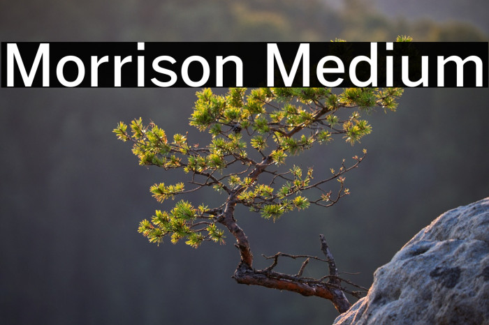 Morrison Medium Example 3