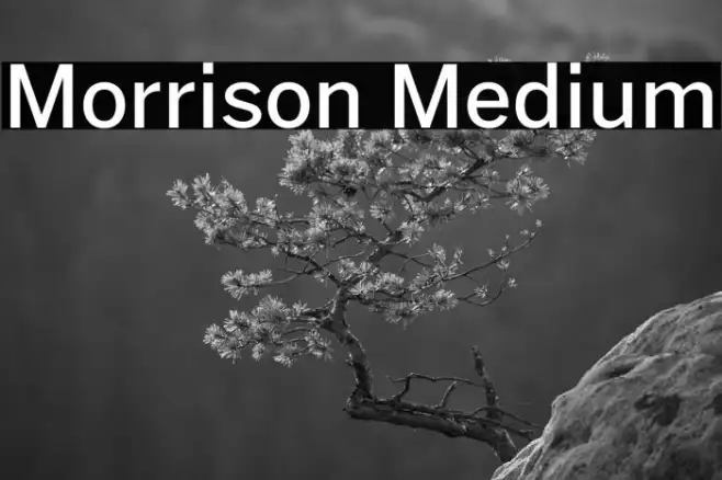 Morrison Medium Example 3