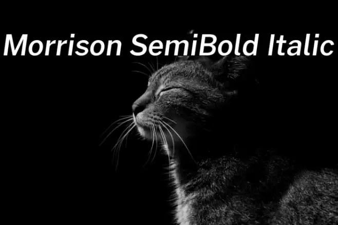 Morrison SemiBold Italic Font examples