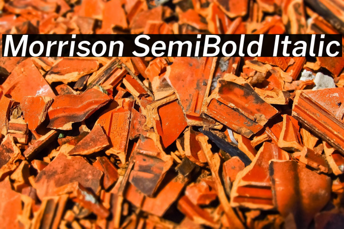 Morrison SemiBold Italic Example 2
