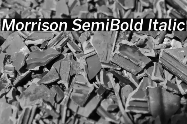 Morrison SemiBold Italic Font examples