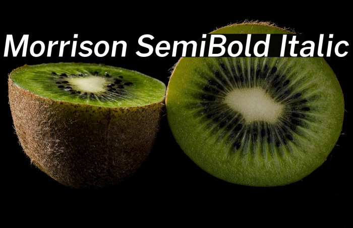 Morrison SemiBold Italic Example 3