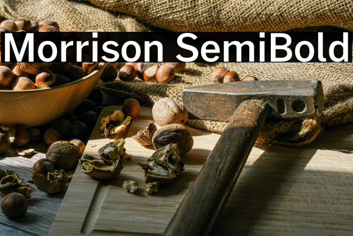 Morrison SemiBold Example 2