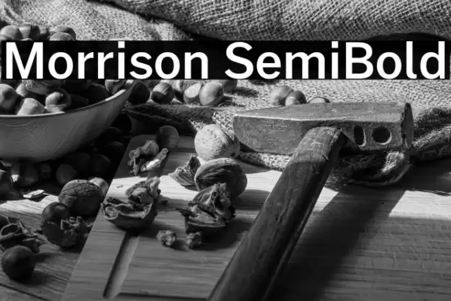 Morrison SemiBold Font examples