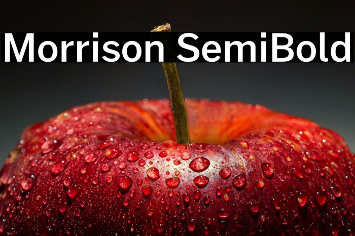 Morrison SemiBold Example 3