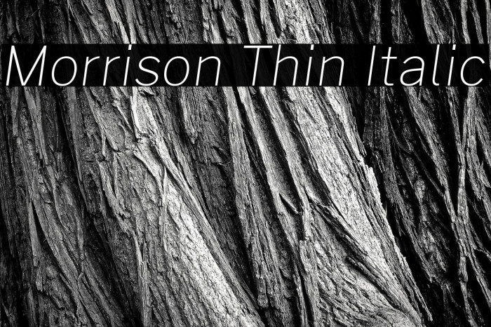 Morrison Thin Italic Example 1