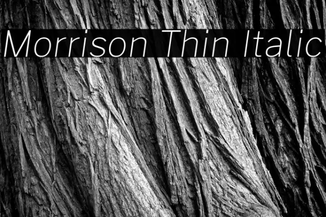 Morrison Thin Italic Font examples
