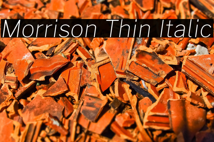 Morrison Thin Italic Example 2