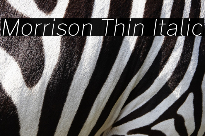 Morrison Thin Italic Example 3