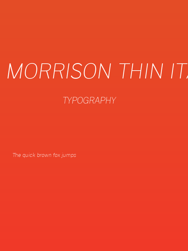 Morrison Thin Italic Poster