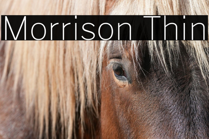 Morrison Thin Example 1