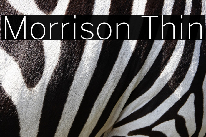 Morrison Thin Example 3