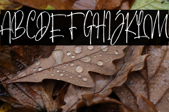 MorristoneDemo Example 3