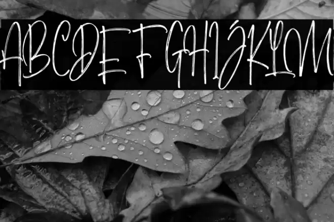 MorristoneDemo Font examples