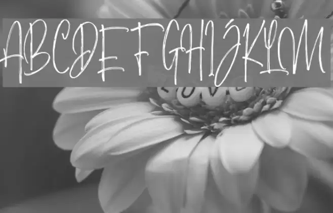 MorristoneDemo Font examples