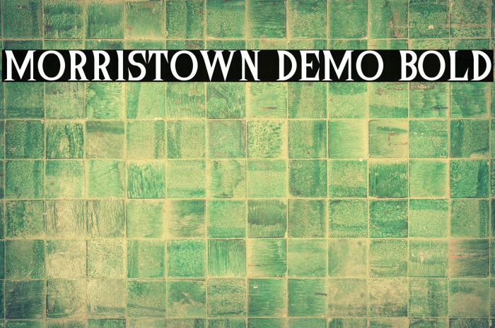 Morristown Demo Bold Example 1