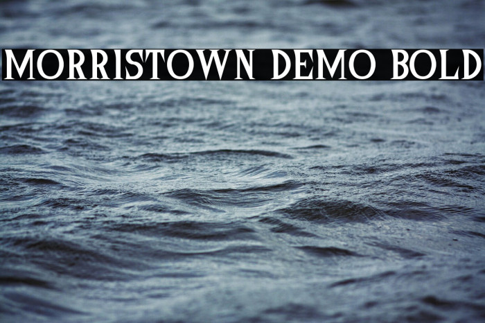 Morristown Demo Bold Example 3