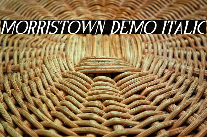 Morristown Demo Italic Example 1