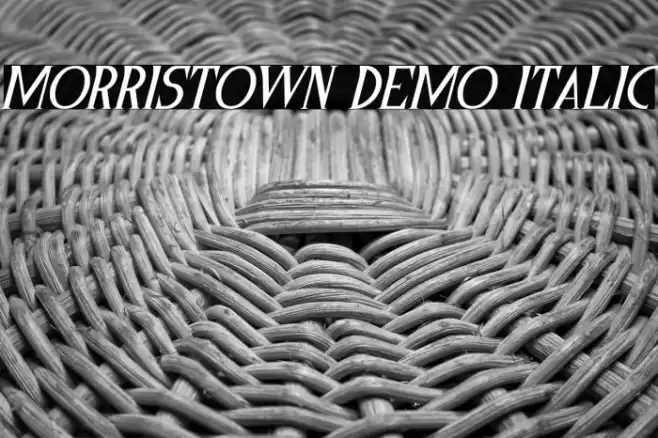 Morristown Demo Italic フォント examples