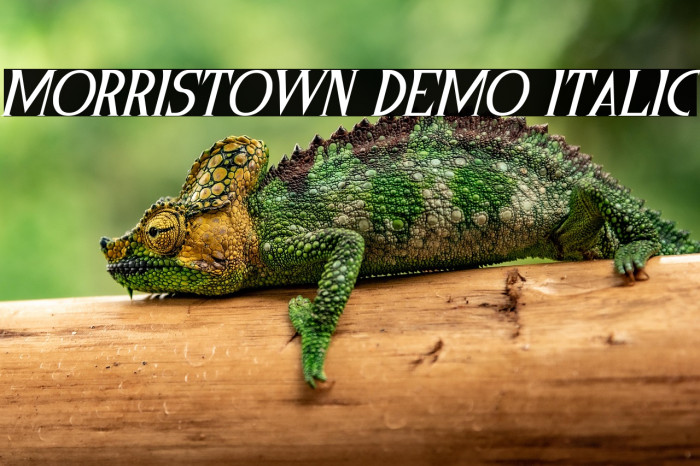 Morristown Demo Italic Example 2
