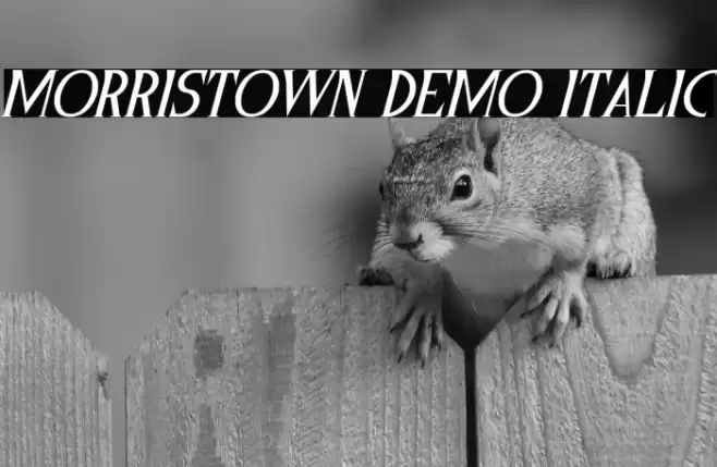 Morristown Demo Italic フォント examples