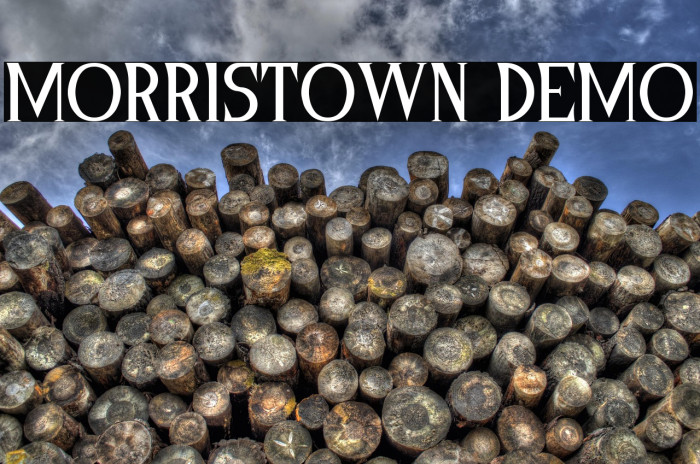 Morristown Demo Example 1