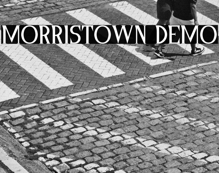 Morristown Demo Example 2