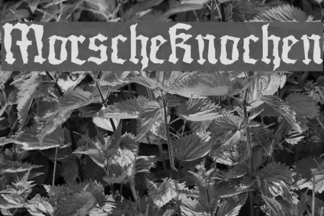 MorscheKnochen Font examples