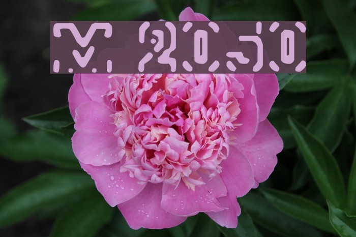 Morse 2050 Font examples