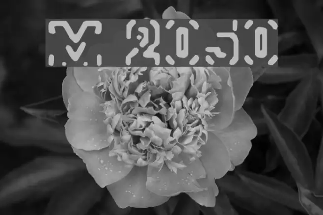 Morse 2050 Example 1