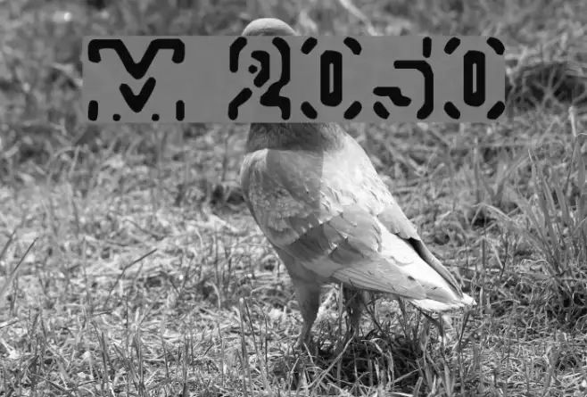 Morse 2050 Example 3
