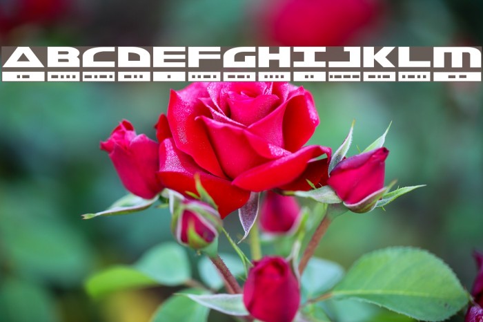 Morse Kode Font examples