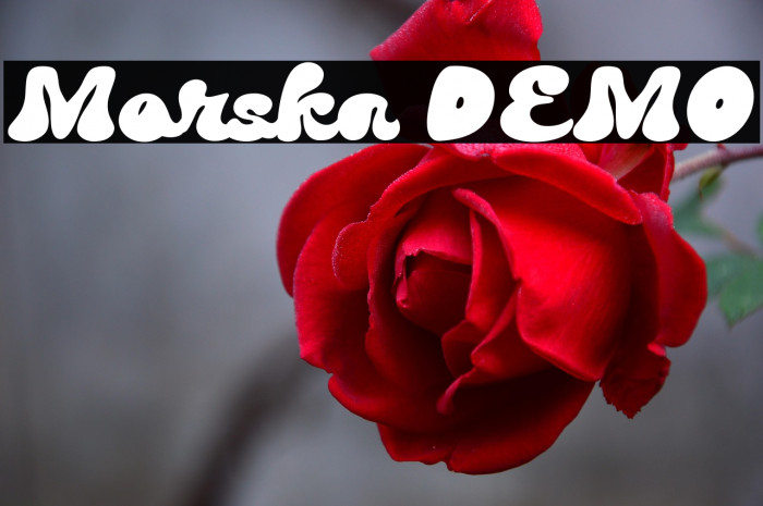 Morska DEMO Example 1