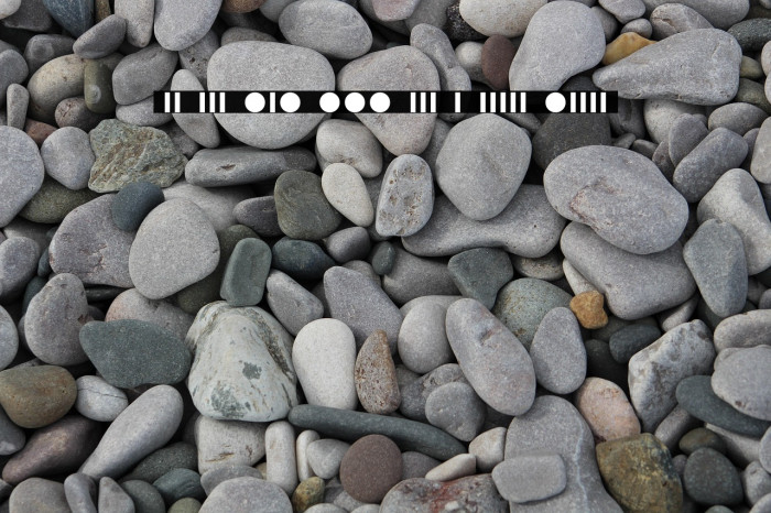 Morsot_0.1 Example 2